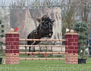 Vizzini Lismeen Lancer TosTour 2013- S4 6884 : Arezzo Equestrian Centre, Lismeen Lancer, Toscana Tour 2013, Vizzini Lucia, foto di Stefano Secchi ©